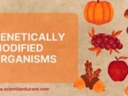 Genetically Modified Organisms (GMOs): Benefits and Risks Genetically Modified Organisms