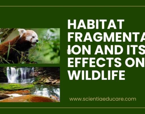 Habitat Fragmentation and Its Effects on Wildlife Habitat Fragmentation and Its Effects on Wildlife