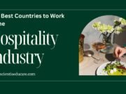 The Best Countries to Work in the Hospitality Industry Hospitality Industry