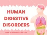 Human Digestive Disorders: Causes and Treatments Human Digestive Disorders