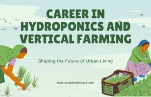 Career in Hydroponics and Vertical Farming Hydroponics and Vertical Farming