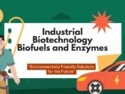 Industrial Biotechnology: Biofuels and Enzymes Industrial Biotechnology