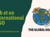 Your Guide to Landing a Job at an International NGO Job at an International NGO