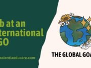 Your Guide to Landing a Job at an International NGO Job at an International NGO