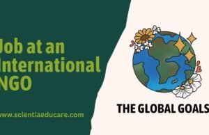 Your Guide to Landing a Job at an International NGO Job at an International NGO