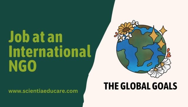Job at an International NGO