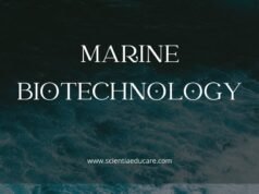 Marine Biotechnology: Products from the Sea Marine Biotechnology