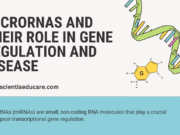 MicroRNAs and Their Role in Gene Regulation and Disease MicroRNAs