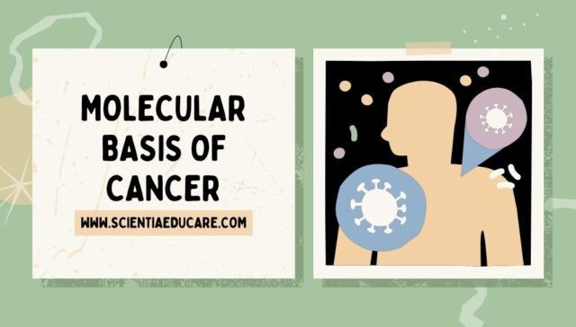 Molecular Basis of Cancer