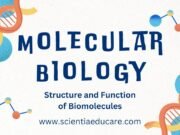 Molecular Biology: Structure and Function of Biomolecules Molecular Biology