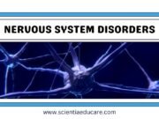 Nervous System Disorders: Alzheimer’s, Parkinson’s and More Nervous System Disorders