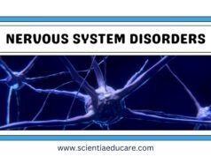 Nervous System Disorders: Alzheimer’s, Parkinson’s and More Nervous System Disorders