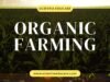 Explore Lucrative Careers In Organic Farming And Agritech Organic Farming