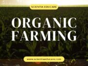 Explore Lucrative Careers In Organic Farming And Agritech Organic Farming