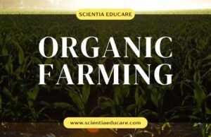 Explore Lucrative Careers In Organic Farming And Agritech Organic Farming
