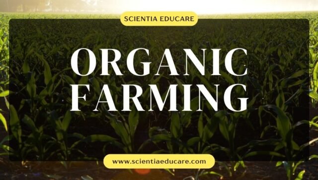 Organic Farming