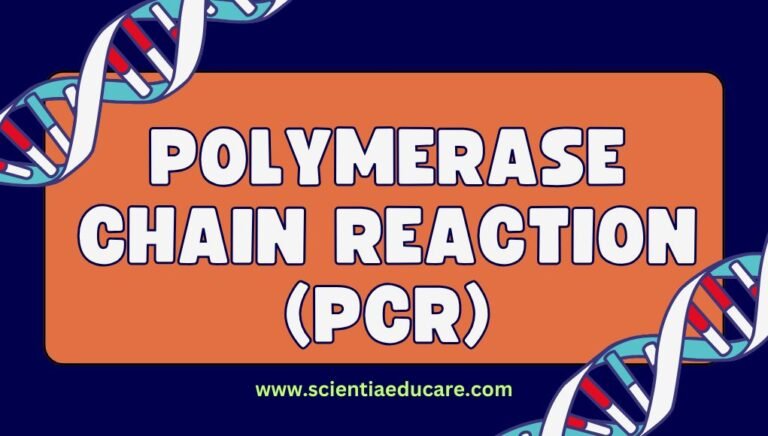 Polymerase Chain Reaction (PCR): Principle and Applications - Online ...