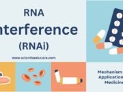 RNA Interference (RNAi): Mechanism and Applications in Medicine RNA Interference
