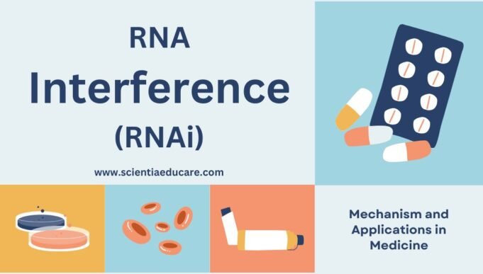 RNA Interference (RNAi): Mechanism and Applications in Medicine ...