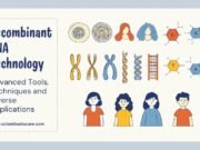 Recombinant DNA Technology: Tools, Techniques and Applications Recombinant DNA Technology