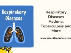 Respiratory Diseases: Asthma, Tuberculosis and More Respiratory Diseases