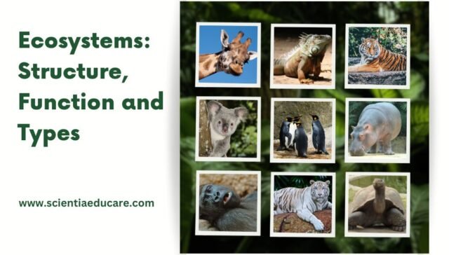 Types of ecosystems with examples