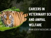 Exploring Careers in Veterinary Science and Animal Welfare Veterinary Science and Animal Welfare