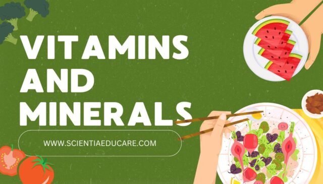 Vitamins and Minerals