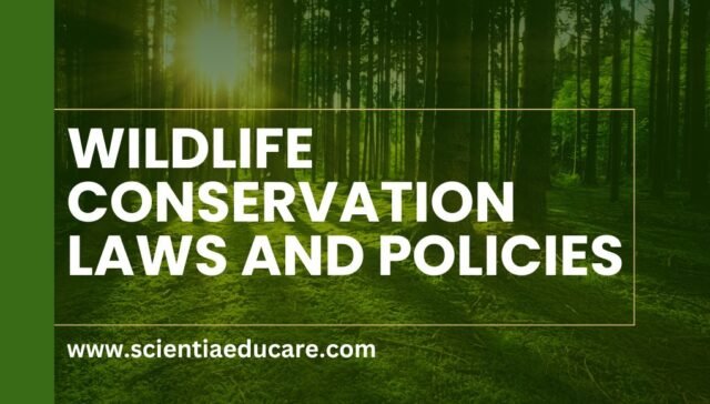 Wildlife Conservation Laws and Policies