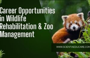 Career Opportunities in Wildlife Rehabilitation & Zoo Management Wildlife Rehabilitation & Zoo Management