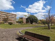 Hiroshima University, Japan Hiroshima University, Japan