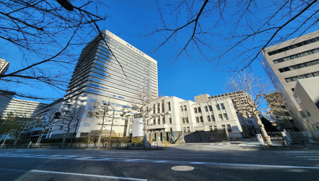 Jikei University School of Medicine, Japan